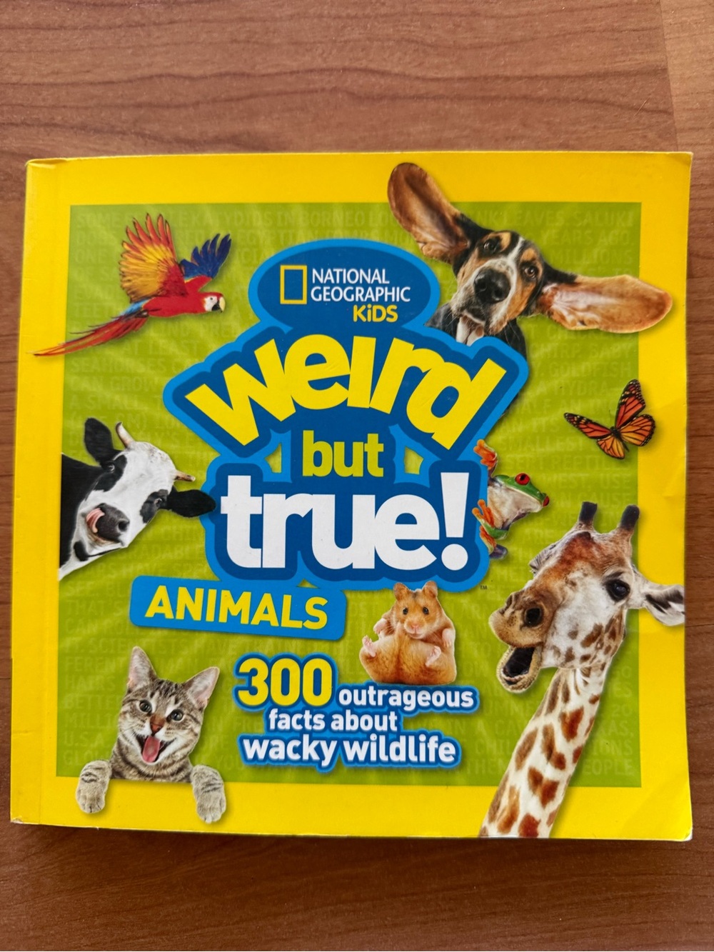 National Geographic Kids Weird But True! Animals - Yellow & Green Cover